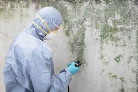 Best Real Estate Mold Inspection  in Princeton, MN